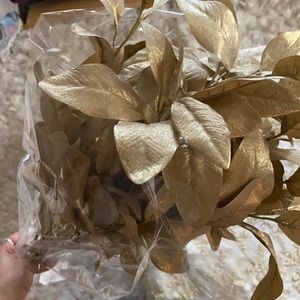 Call flower for home decoration